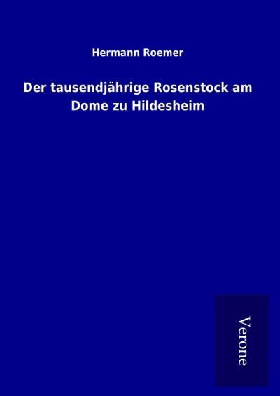 Der tausendjährige Rosenstock am Dome zu Hildesheim