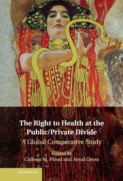 The Right to Health at the Public/Private             Divide