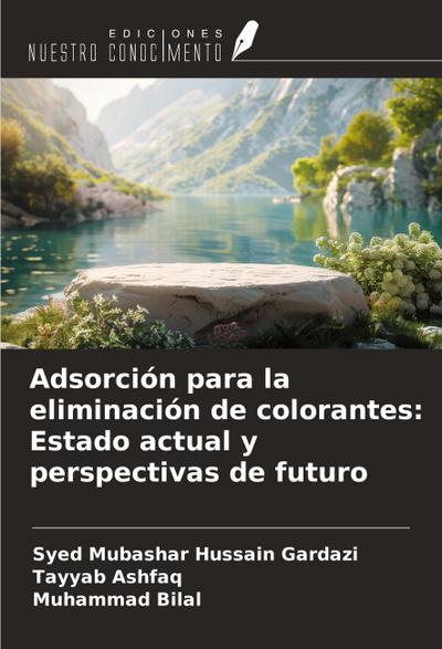 Adsorción para la eliminación de colorantes: Estado actual y perspectivas de futuro
