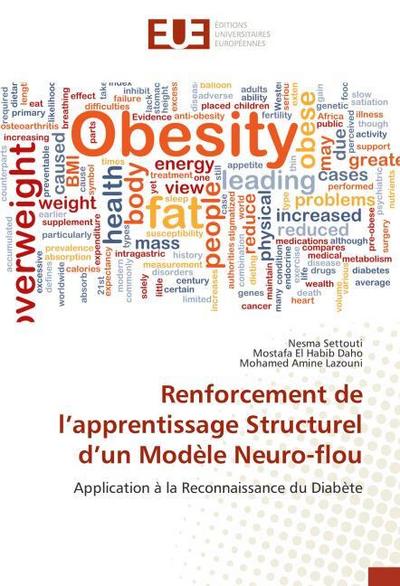 Renforcement de lapprentissage Structurel dun Modèle Neuro-flou
