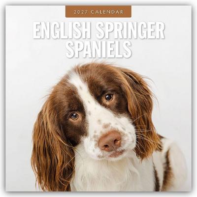 English Springer Spaniels - Englisch Springer Spaniels 2027 - 16-Monatskalender