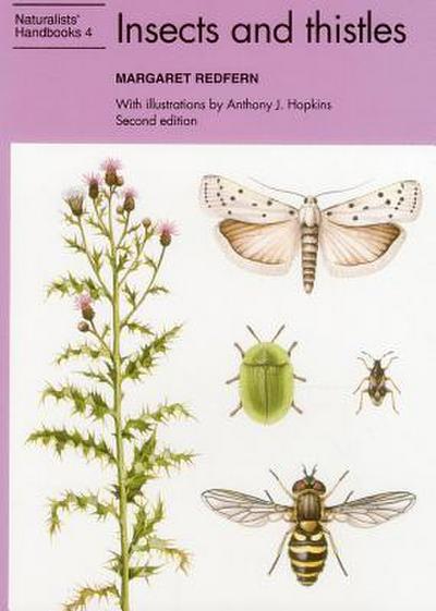 Insects and Thistles