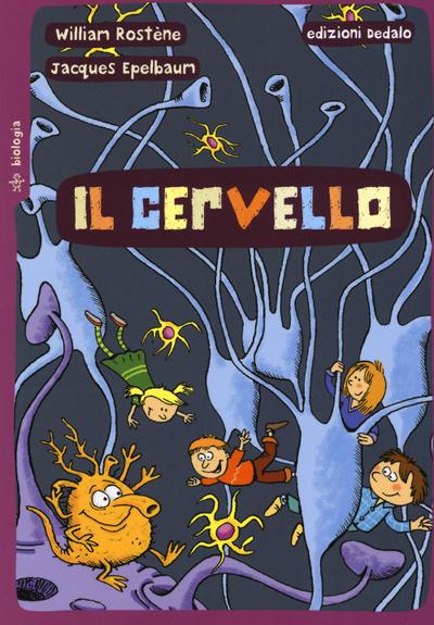 Il cervello