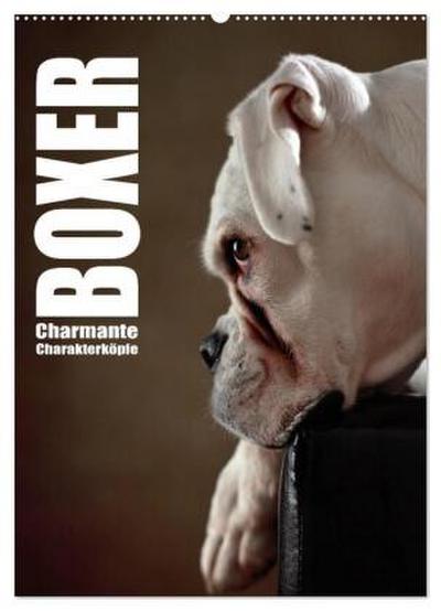 Boxer - Charmante Charakterköpfe (Wandkalender 2026 DIN A2 hoch), CALVENDO Monatskalender