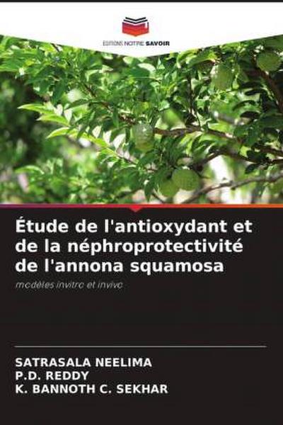 Étude de l’antioxydant et de la néphroprotectivité de l’annona squamosa