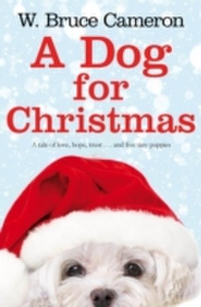 Dog for Christmas