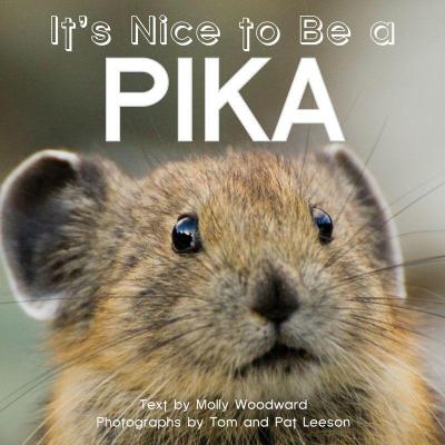 It’s Nice to Be a Pika