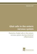 Glial cells in the enteric nervous system