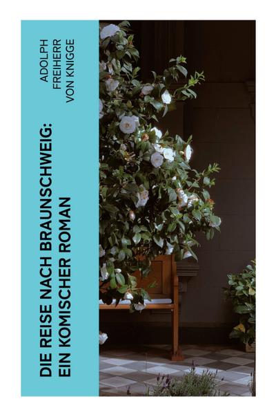 Die Reise nach Braunschweig: Ein komischer Roman