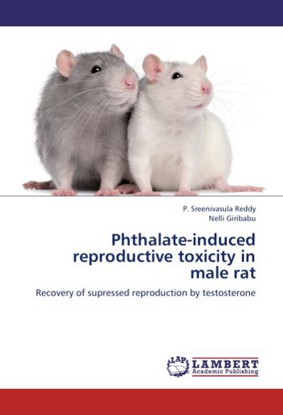 Phthalate-induced reproductive toxicity in male rat