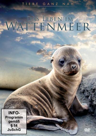 Das Leben im Wattenmeer, 1 DVD