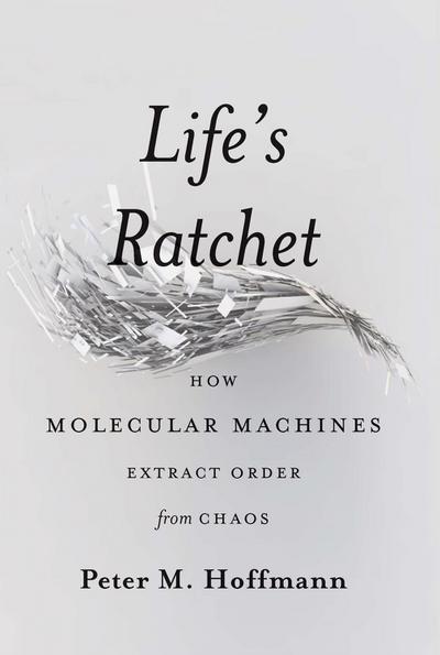Life’s Ratchet