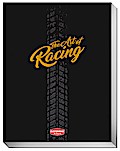The Art of Racing