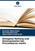 Ontogene Reifung und Genexpression bei Procambarus