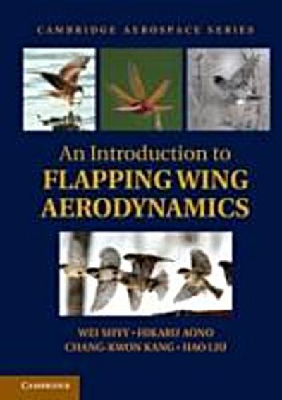 Introduction to Flapping Wing Aerodynamics