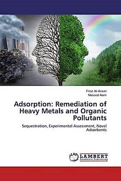 Adsorption: Remediation of Heavy Metals and Organic Pollutants