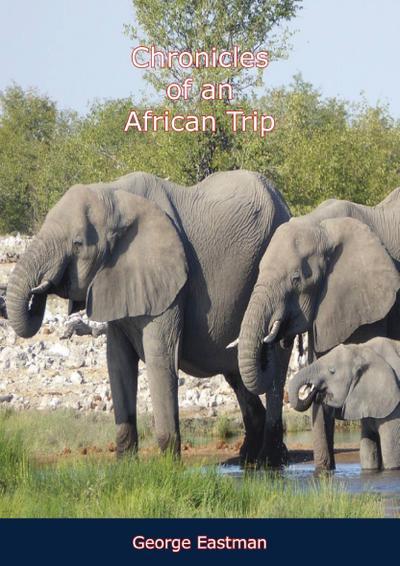 Chronicles of an African Trip