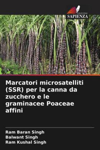 Marcatori microsatelliti (SSR) per la canna da zucchero e le graminacee Poaceae affini