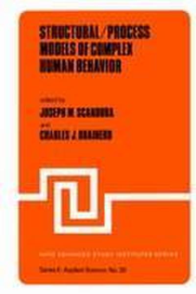 Structural/Process Models of Complex Human Behavior