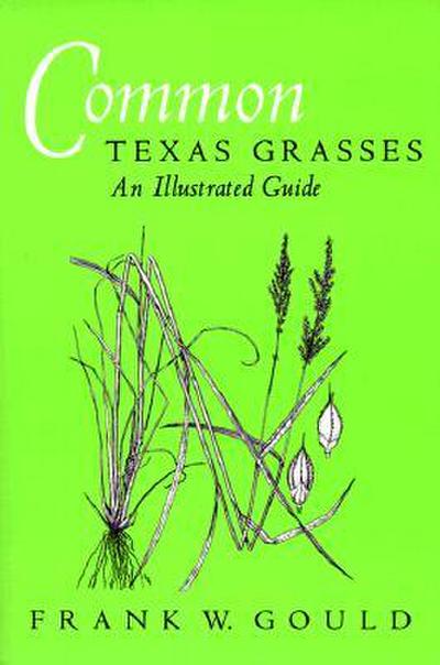 Common Texas Grasses