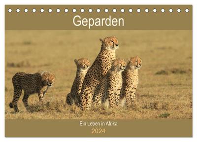 Geparden - Ein Leben in Afrika (Tischkalender 2024 DIN A5 quer), CALVENDO Monatskalender