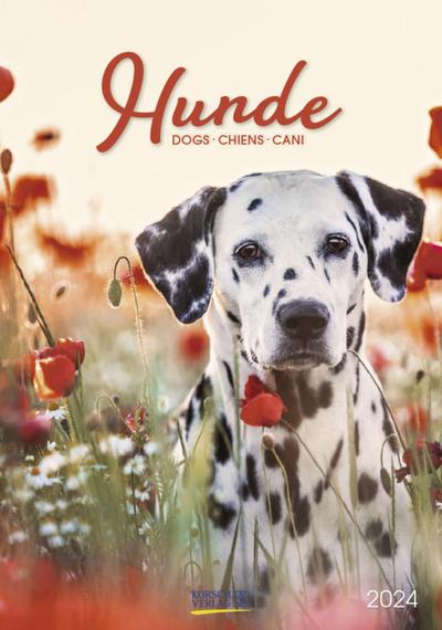 Hunde 2024