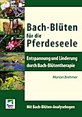 Bach-Blüten für die Pferdeseele