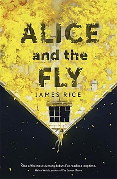 Alice and the Fly