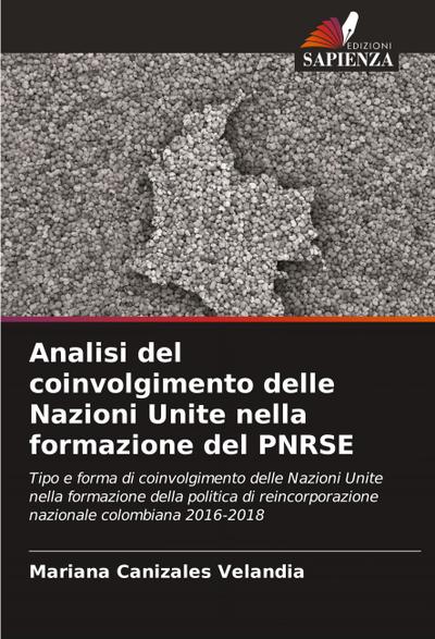 Analisi del coinvolgimento delle Nazioni Unite nella formazione del PNRSE