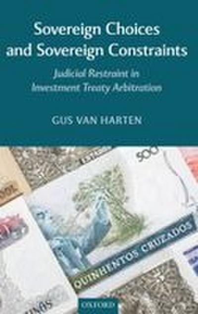 Sovereign Choices and Sovereign Constraints