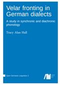 Velar fronting in German dialects