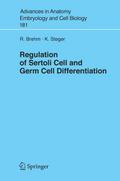 Regulation of Sertoli Cell and Germ Cell Different