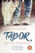 Tabor, die kleine Straßenkatze