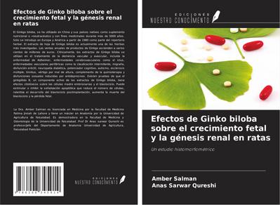 Efectos de Ginko biloba sobre el crecimiento fetal y la génesis renal en ratas