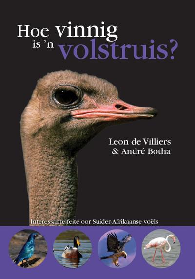 Hoe vinnig is ’n volstruis?