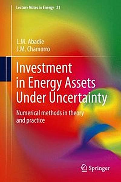Investment in Energy Assets Under Uncertainty