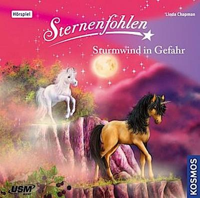 Sternenfohlen - Sturmwind in Gefahr, 1 Audio-CD