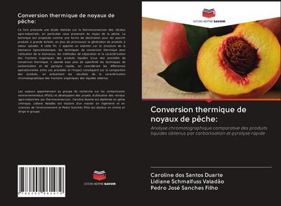 Conversion thermique de noyaux de pêche: