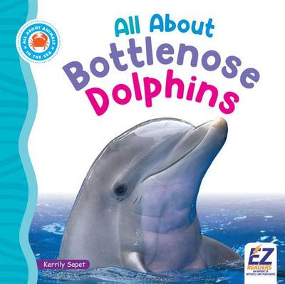All about Bottlenose Dolphins