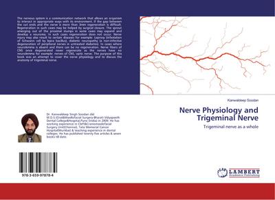 Nerve Physiology and Trigeminal Nerve