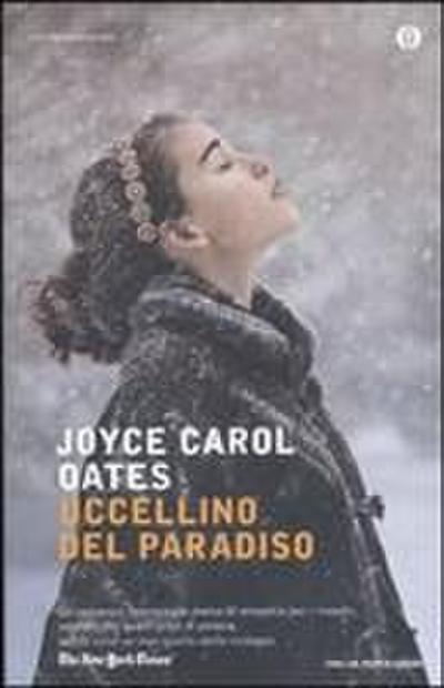 Uccellino del paradiso