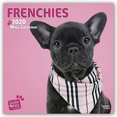 Frenchies - Französische Bulldoggen 2020