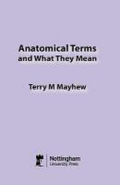 Anatomical Terms and What They Mean