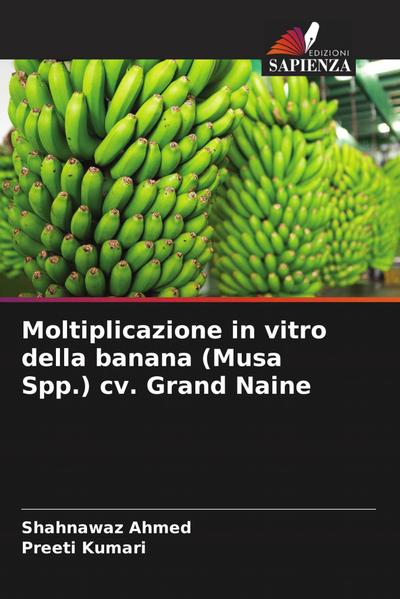 Moltiplicazione in vitro della banana (Musa Spp.) cv. Grand Naine