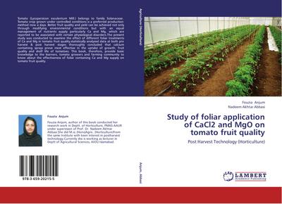Study of foliar application of CaCl2 and MgO on tomato fruit quality
