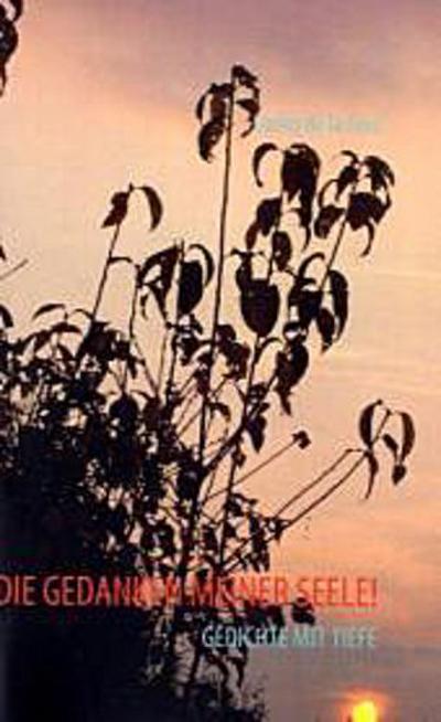 DIE GEDANKEN MEINER SEELE!
