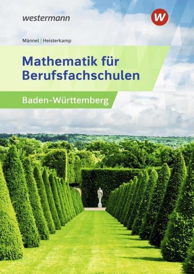 Mathematik für Berufsfachschulen. Schulbuch. Algebra und Geometrie