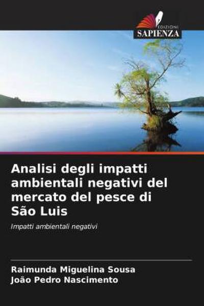 Analisi degli impatti ambientali negativi del mercato del pesce di São Luis