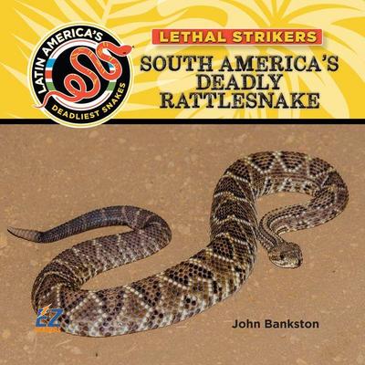South America’s Deadly Rattlesnake