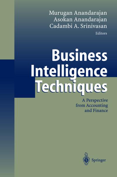 Business intelligence techniques : a perspective from accounting and finance